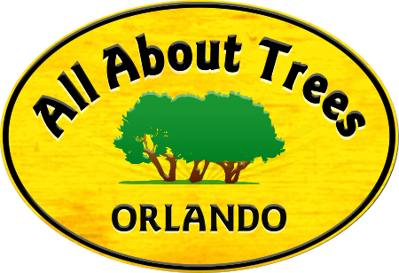 All About Trees, Inc